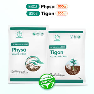 Combo Phục Hồi Bảo Vệ Rễ BS03 Physa BS08 Tigon - Trị Vàng Lá Kích Rễ Tạo Rễ Mới - Bác Sĩ Cây Xanh
