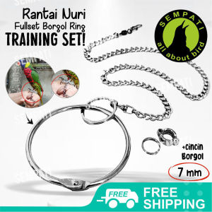SEMPATI Rantai Kaki Burung Nuri Perlangi Puter Pelung Tekukur Derkuku Fullset Gelang Ring Borgol 7 Mm Free Flaying Ff Rantai Gelang Kaki Burung Perkutut Nuri Hijau Rantai Training Latih Burung Kakak Tua Kaka Tua Beo Merpati RTFL7M