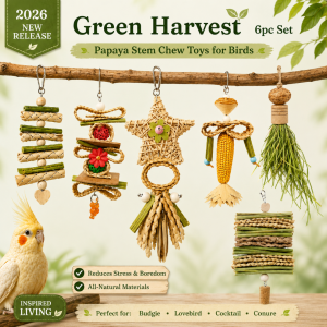 Bird Toy | Parrot Toy Set with Applewood Perch | Rainbow Fiesta Play & Perch 8pc | Chew Forage Toys for Lovebird Cockatiel