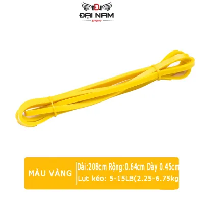 Dây Kháng Lực Tập Gym Powerband Tập Toàn Thân Đa Năng Chính Hãng Đại Nam Sport (Hàng Xịn)