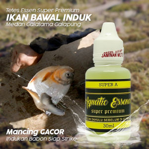 Essen Ikan Lele Paling Ampuh Terbaru - Essen Umpan Mancing Ikan Lele Harian Lomba Galatama Terbaik - SiMagrib Essen Khusus Lele Indukan Babon/Ikan Rame