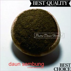 Daun Sembung Bubuk 500 Gram - Blumea balsamifera Powder | Baccharis Salvia Lour | Serbuk Sambong Kamandhin Capo Apompase Mandikapu | Ngai Camphor