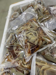 Thịt Sứa biển - Sứa Đỏ  túi 5500gr luôn nước 1kg (giao tphcm)