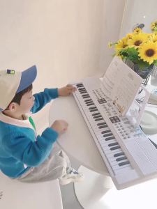 Qiaowa Baby Children's Electronic Keyboard: A Fun & Educational Gift