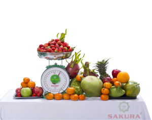 Cân Đồng Hồ Lò Xo 30kg - Cân Hoa Sen Chính Hãng