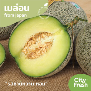 CityFresh เมล่อน Melon สายพันธุ์ญี่ปุ่น โดดเด่นด้วยรสชาติหวาน หอม เมล่อนญี่ปุ่น เมล่อน ญี่ปุ่น - Lazada