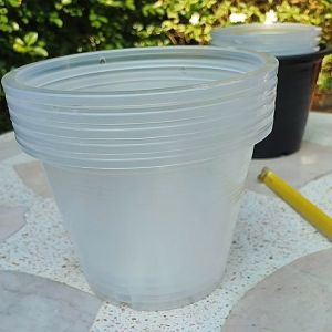 กระถางแปดนิ้วใส แพ็คละ 5 ใบ สินค้าพร้อมส่งมาก