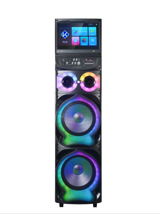 Karaoke best sale speaker system