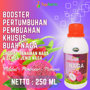 Pupuk Buah Biar Cepat Berbuah / Pupuk Khusus Buah Naga / Obat Pelebat Buah Naga / Obat Semprot  Pembesar Buah Naga / Obat Cacar Daun Buah Naga