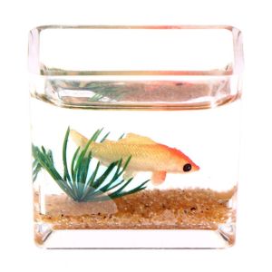 BWNTIX Doll House Mini Pretend Toy Dollhouse Toy Dolls Decoration Furniture Accessories Miniature Fish Bowl Glass Fish Tank Model Dollhouse Miniature Miniature Fish Tank