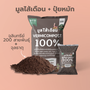 มูลไส้เดือน100% ขนาด1กิโลกรัม ปุ๋ยไม้ด่าง ปุ๋ยแคคตัส ปุ๋ยอินทรีย์ เพาะเมล็ด บอนสี ไม้ด่าง กระบองเพชร แคคตัส ทุเรียน
