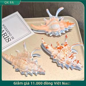 QK FA ✨ Thời Trang Acrylic Conch Móng Vuốt Tóc Hàn Quốc Phóng Đại Đầy Màu Sắc Không Thường Xuyên Cá Tính Lớn Móng Vuốt Tóc Phụ Nữ Cô Gái Phụ Kiện Tóc