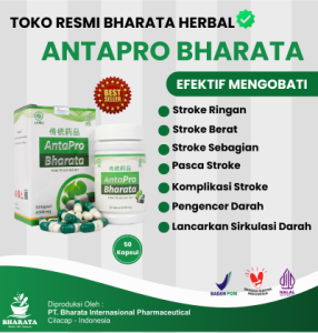 Obat Stroke Ringan - Stroke Berat - Stroke Sebelah -  ANTAPRO BHARATA 100% ORIGINAL