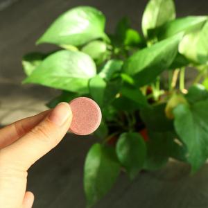 HUGHES Phosphorus Organic Fertilizer Growth Potassium Slow-Release Tablet Sustained-release Speed Up Plant Nutrition Tablets Plants Potted