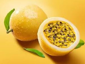 PASSION FRUIT QUALITY SEEDS `MERINDA` Yellow