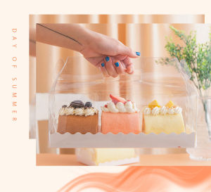5pcs/set Transparent Clear Cake Box with Handle Suit For Swiss Roll/Cake