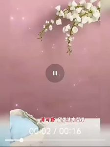 Velox Laundry Beads 32 Clear and fresh laundry beads 60 Cherry Blossom Rose and Green Grass 24 Piece 50 Drop shipping