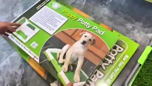 Dog Toilet Artificial Grass Dog Potty Splashproof Washable Reusable Pee Pads Dog Training Toilet Puppy Pad TraySupplies2026