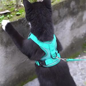 Reflective BreathableVest Harness Cat Dog Chest Strap Leash
