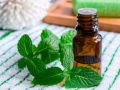 Tinh dầu bạc hà Peppermint. 