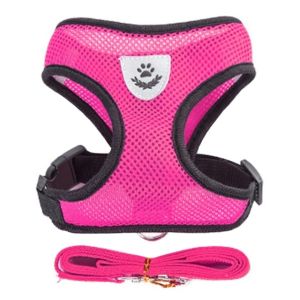 Soft Mesh Padded Dog Harness With Leash Reflective Vest Leash For Dog Cat harness Small Dog harness