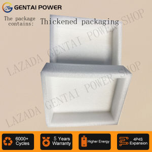 GENTAI POWER SHOP LiFePO4 Battery The package contains (Not sold independently)