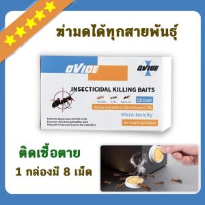 🐜มดตายหมด🐜ยาฆ่ามด เหยื่อมด เจลกำจัดมด เจลฆ่ามด 8ชิ้น แอนตี้แอนท์ ใช้งานง่าย เพียงติดไว้ ตายยกรัง 100%ได้ผล ยาหยอดมด