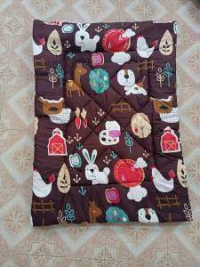 ที่นอนเด็กอนุบาลรุ่นหนาพิเศษ ที่นอนปิคนิค สำหรับไปโรงเรียน ที่นอนเด็กอนุบาลไปโรงเรียน ลายการ์ตูน ที่นอนปิกนิก