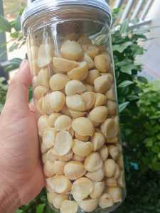 Nhân macca sấy DAKLAK hộp 500g shop granola việt giòn thơm