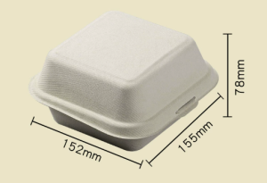 Eco-Friendly Takeaway Box for Burger and Fried Chicken Microwave Safe Leak Proof 100% Compostable 50PCS