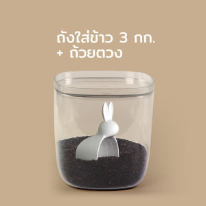 Bella bunny rice container & Scoop 3.5 L ถังข้าวสาร พร้อมถ้วยตวง ดีไซน์ กระต่ายน้อย Qualy (คอลลี่)