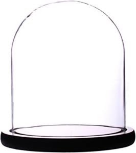 Glass Cloche Bell Jar Display Dome 5.6x7 Inch Clear High Borosilicate Glass Bell Jar with Black Wooden Base Dustproof Display Case for Plants Candles Jewelry Home Wedding Decor