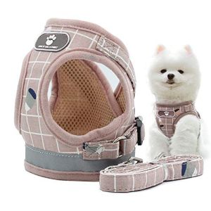 Tali Tuntun & Harness Hewan Anjing Kucing Model Rompi