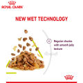 Royal Canin SENSORY SMELL อาหารแมวแบบเปียก สำหรับแมวช่างเลือก กระตุ้นการกินด้วยกลิ่นหอมเฉพาะ (เจลลี่) (85g). 