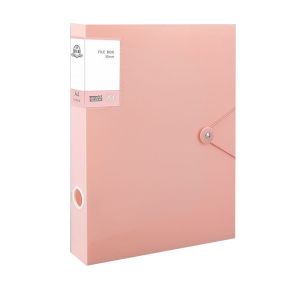 SDFBN Morandi Color A4 File Organizer Box Multifunctional Thickened File Paper Organizer 5 Color PP Plastic Office Supplies Personnel Division