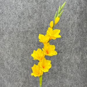 Lay Ơn Thân Cao Su Hàng Nhập Khẩu Cao Cấp 6b 2n Trang Trí Nhà Cứa Decor CướiSự Kiện. Hoa Lụa LyLy Decor