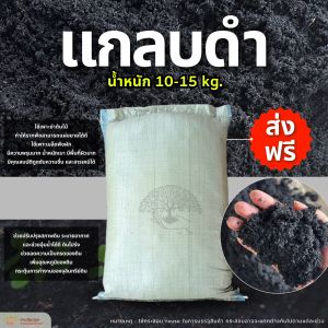 (ส่งฟรี)แกลบดำ 1 กระสอบ(10-15kg.) แกลบเผาไบโอชาร์ ใช้เวลาจัดส่ง 5-7 วันทำการ