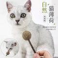 Catnip Matata Polygonum Lollipop 猫薄荷木天蓼棒棒糖. 