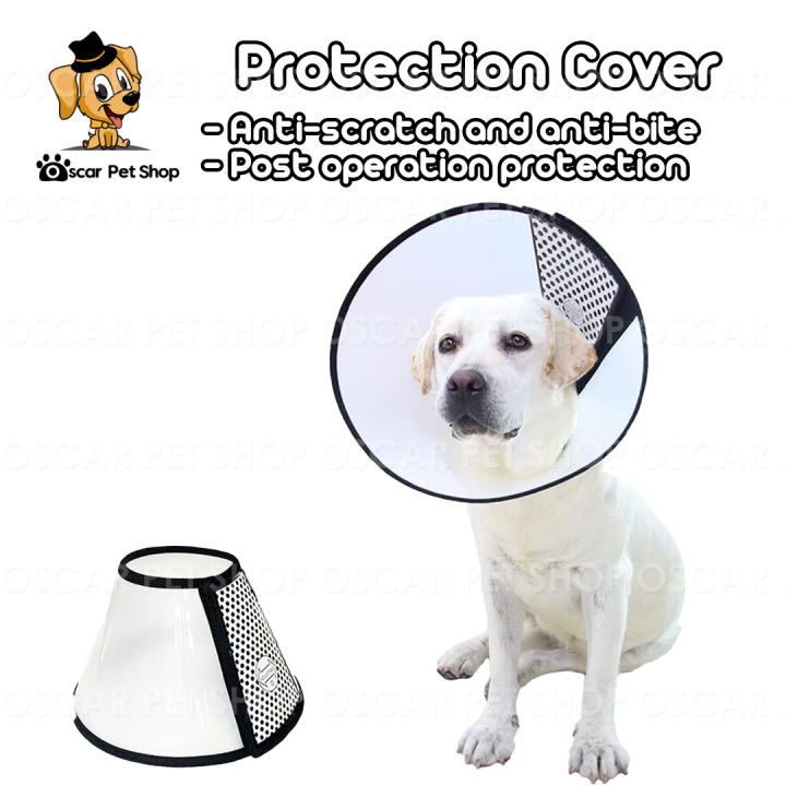 Animal Dog Funnel Collar Protective Collar Conceal A Collar For