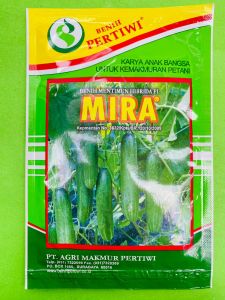 benih mentimun hibrida f1 PERTIWI "MIRA" 25 gram