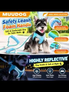 Double Ring Harness Soft Mesh Pet Harness and Leash for Daily Walks