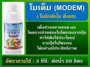 ปุ๋ยน้ำกิฟฟารีน ฮอร์โมนพืช ปุ๋ยน้ำ ปุ๋ยถั่ว ปุ๋ยไม้เลื้อย ปุ๋ยโมเด็ม โมลิบดินัม คีเลท เพื่อขยายยอด ผล ช่วยย่อยไนโตรเจน 100 cc