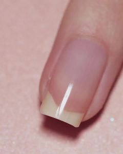 ILNP Butterflies - Delicate Pale Purple Studio Color