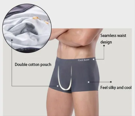 Cheap Men Boxer Shorts Ice Silk Underpants Boxers Briefs Man Plus