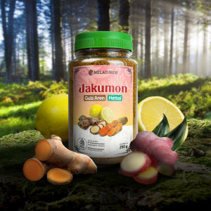 Minuman Wedang Jahe Merah Kunyit Lemon Gula Aren Bubuk Murni Wedang Rempah Detox Herbal Melati Noni