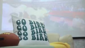 Trendy Groovy Go Birds Football Pillow CoversFootball Throw Pillow Covers 12x20Football Fan GiftsFootball PillowsFootball Gift（Black