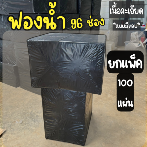 ฟองน้ำปลูกผักไฮโดรโปนิกส์ ฟองน้ำเพาะเมล็ด เนื้อละเอียด แบบมีขอบ 100 แผ่น