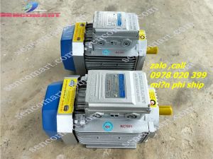 Báo giá mô tơ điện 3kw tốc độ 2900v/p  động cơ toàn phát chính hãng