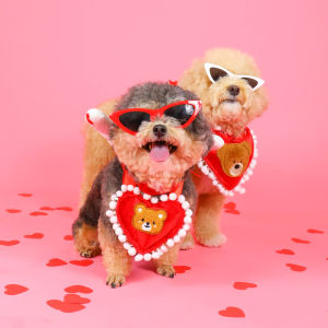 Heart bib ผ้าพันคอสัตว์เลี้ยง วาเลนไทน์ | CLAWSET.BKK