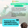 Pupuk Khusus Daun Bawang / Pupuk Penyubur Bawang Daun / Pupuk Daun Bawang Merah / Pupuk Pelebat Bawang Daun / Pupuk Buat Tanaman Bawang Daun. 